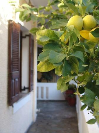 Artistica Villa Ermioni Bagian luar foto